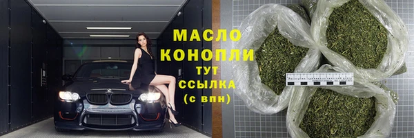 скорость Ельня