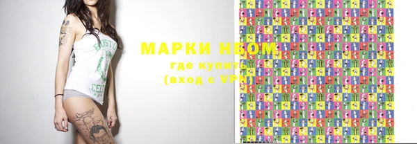 скорость Ельня