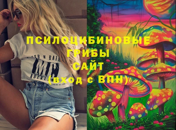 мдпв Елизово