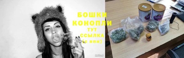 скорость Ельня