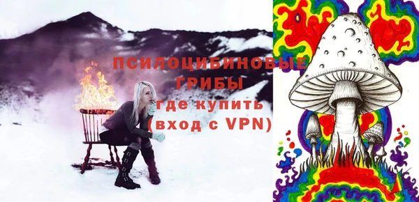 скорость Ельня