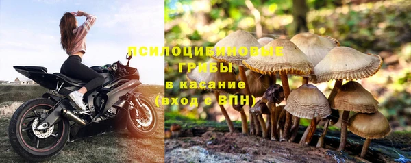 стафф Дмитровск