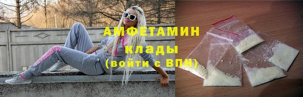 скорость Ельня