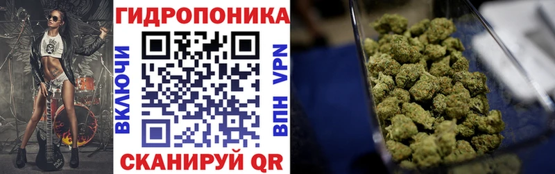 Конопля ГИДРОПОН  Купить закладки  Циолковский 